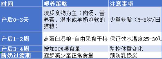 母猫生产完吃什么补充营养？