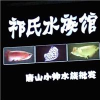 网友昵称：呼和水族批发市场