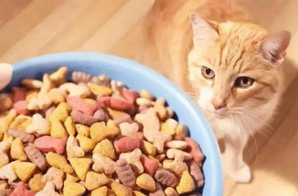 如何挑选健康的猫狗粮呢