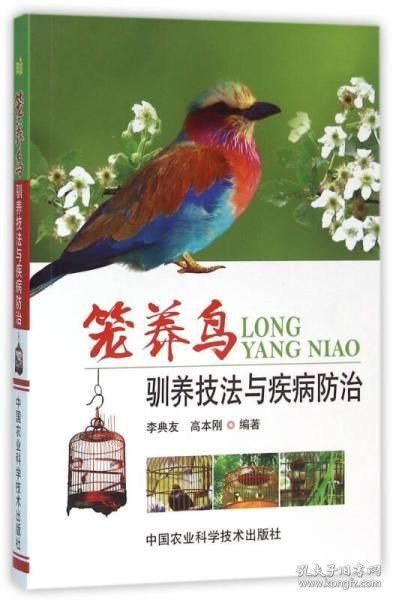 锦鸡人工饲养管理技术书籍 笼养鸟驯养技法与疾病防治