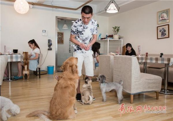 青岛这个咖啡馆有11只“汪星人”