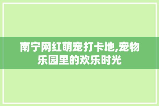 南宁网红萌宠打卡地,宠物乐园里的欢乐时光