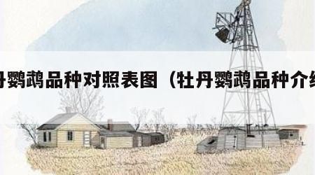 牡丹鹦鹉品种对照表图（牡丹鹦鹉品种介绍大全）
