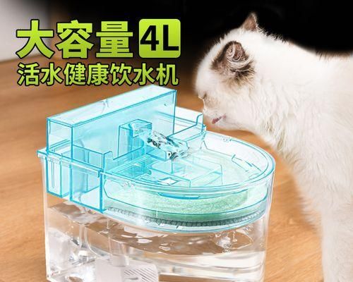 如何保证宠物狗狗的健康饮水？（多注意饮水的细节，让狗狗远离健康问题）