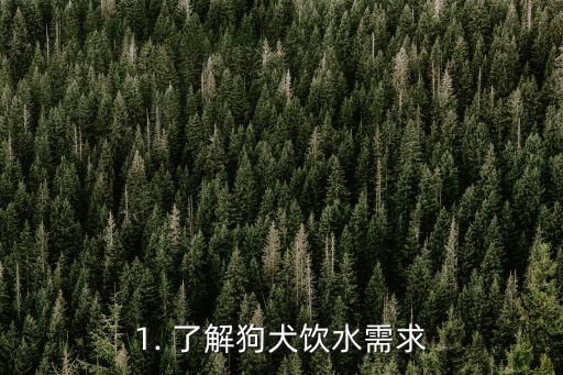 1. 了解狗犬饮水需求