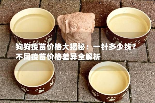 狗狗疫苗价格大揭秘：一针多少钱？不同疫苗价格差异全解析
