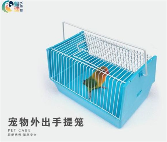 悠梵萌宠物用品推荐：桌面小型金鱼缸，打造微缩世界！