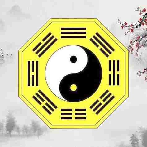 家里宠物金鱼缸的风水