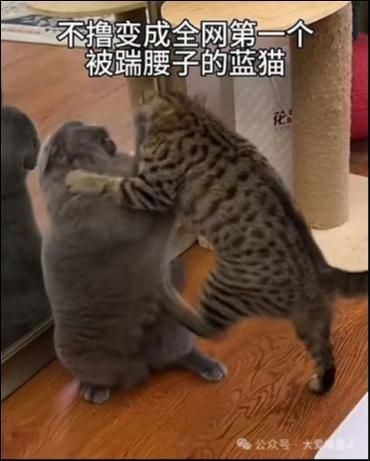 不撸和宋庄