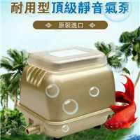网友昵称：沧州龙鱼批发市场