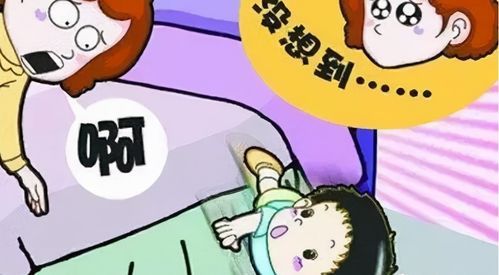 宠物骨折急救处理指南