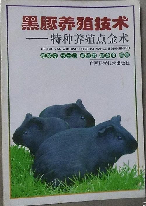 黑豚养殖-黑豚养殖技术