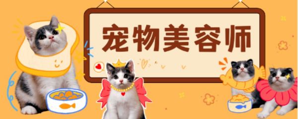 国内十大宠物美容师培训机构排名更新一览.jpg