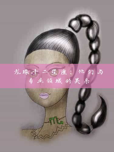 龙珠十二星座：他们与专业领域的关系