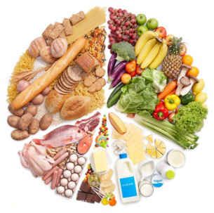 宠物营养补充攻略,健康饮食秘籍!