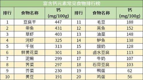 掌握宠物每日所需热量