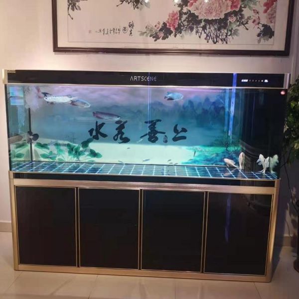 生态鱼缸生产厂家-芜湖鱼缸厂家