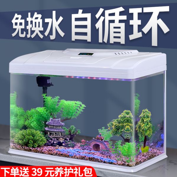 初迪2023自循环金鱼缸玻璃小型桌面客厅家用懒人免换水生态水族箱