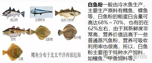 快来GET鱼粉最全知识