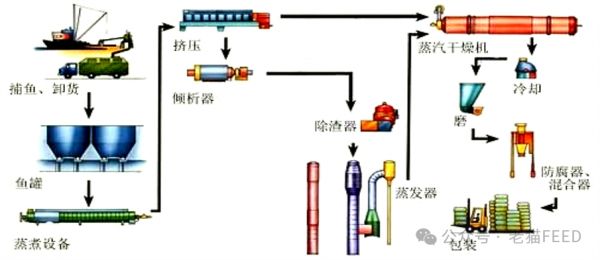 快来GET鱼粉最全知识