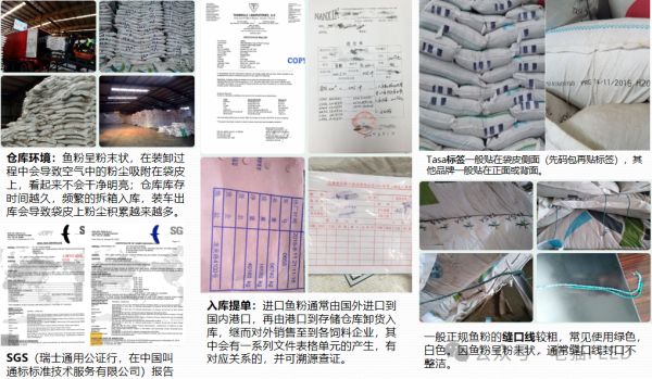 快来GET鱼粉最全知识