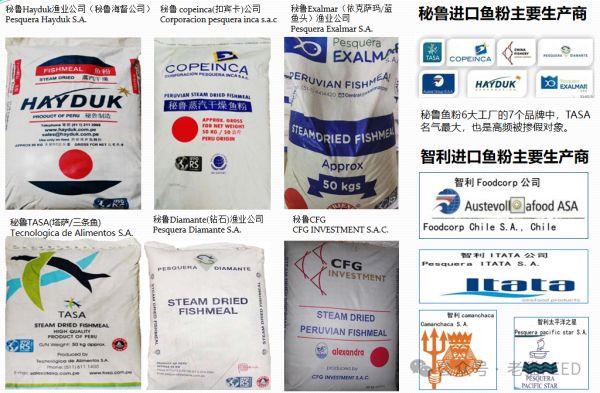 快来GET鱼粉最全知识