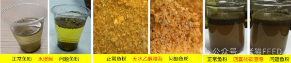 快来GET鱼粉最全知识