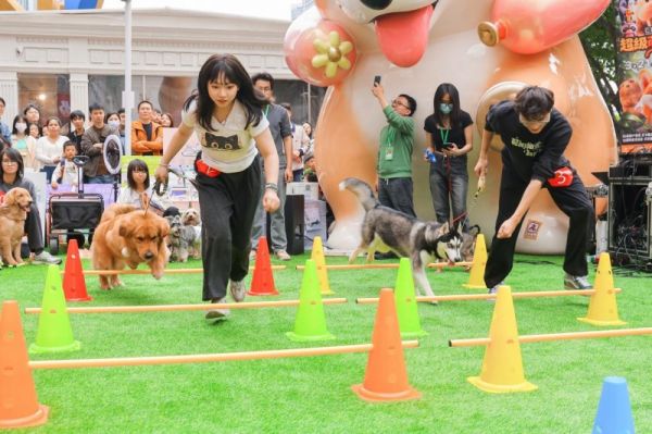 “五一”狂欢持续升温,正佳超级萌宠节打造城市微度假一站式狂欢