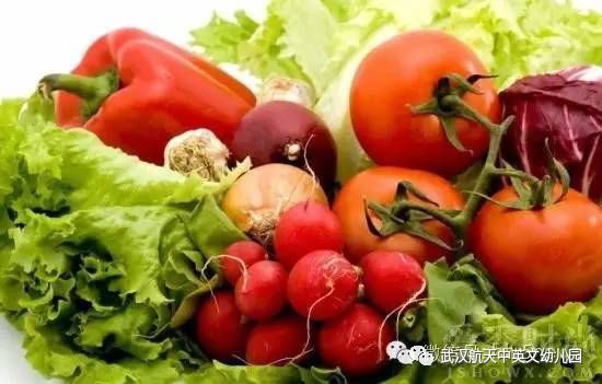 宠物蔬菜饮食宝典