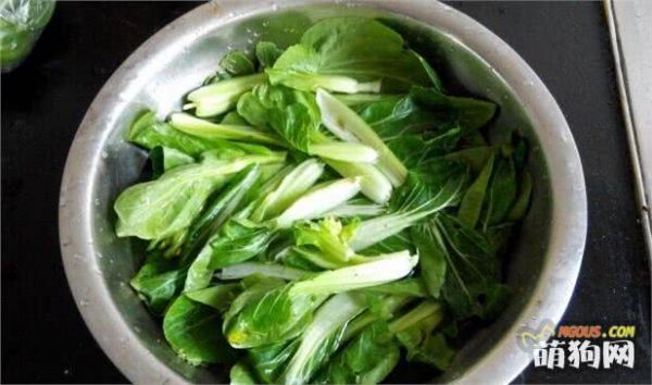 自制狗粮—超美味鸡肉饭