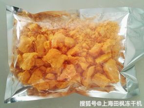 自制宠物美食，冻干鸡肉喂食器秘籍！
