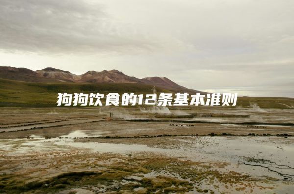 狗狗饮食的12条基本准则