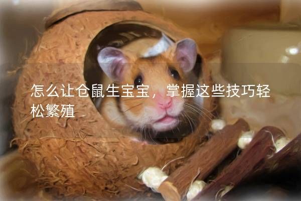 怎么让仓鼠生宝宝，掌握这些技巧轻松繁殖