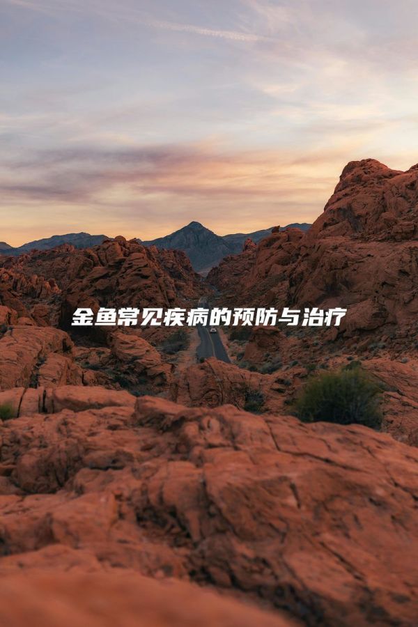 金鱼常见疾病的预防与治疗