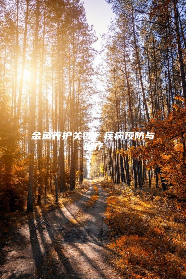 金鱼养护关键：疾病预防与治疗
