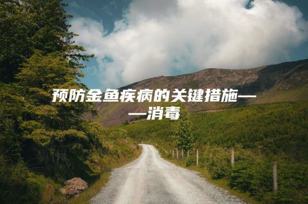 预防金鱼疾病的关键措施――消毒