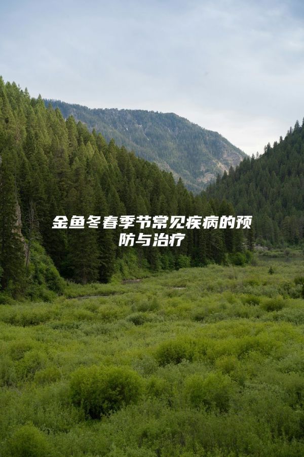 金鱼冬春季节常见疾病的预防与治疗