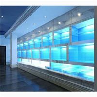 网友昵称：常州水族批发市场