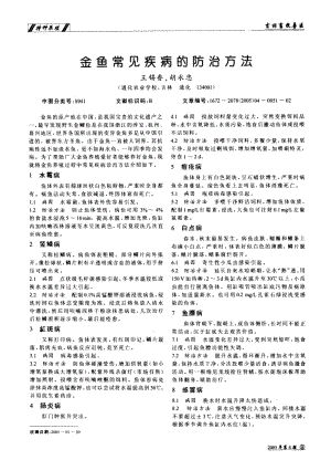 预览图