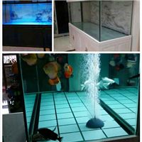 网友昵称：襄阳水族批发市场