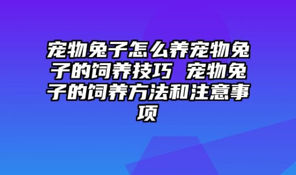 宠物兔子怎么养宠物兔子的饲养技巧 宠物兔子的饲养方法和注意事项