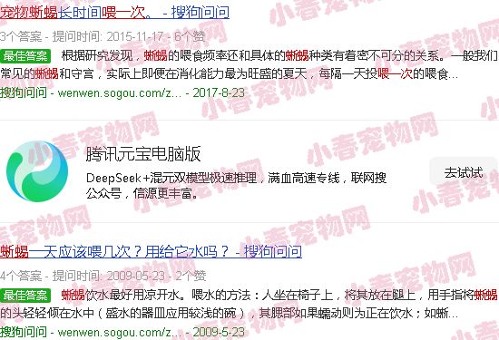宠物蜥蜴多久喂一次
