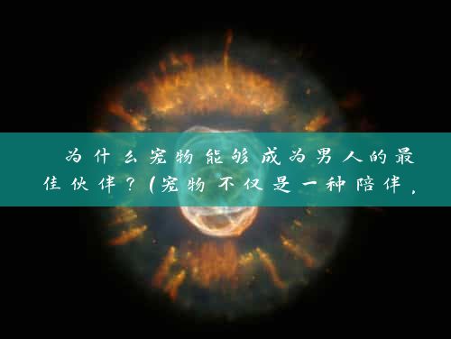  为什么宠物能够成为男人的最佳伙伴？（宠物不仅是一种陪伴，更是一种心理支持） 