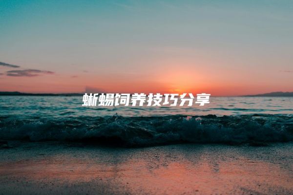蜥蜴饲养技巧分享