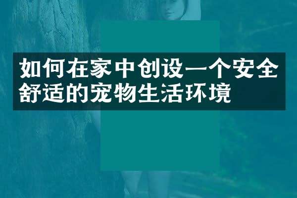 如何在家中创设一个安全舒适的宠物生活环境