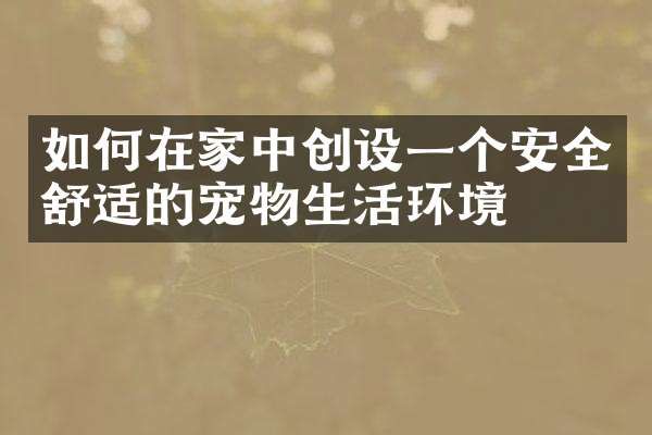 如何在家中创设一个安全舒适的宠物生活环境