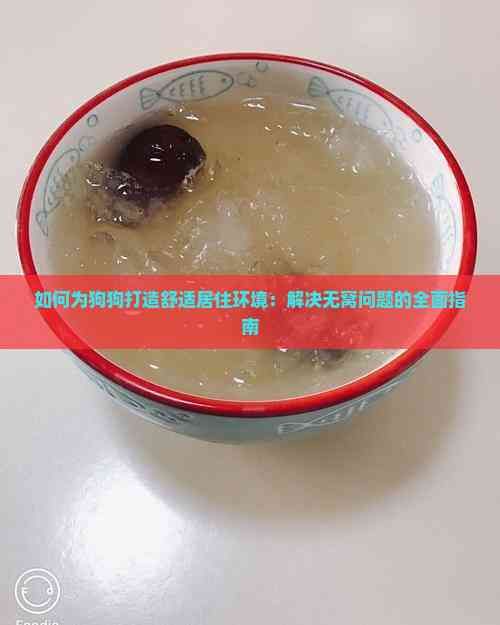 如何为狗狗打造舒适居住环境：解决无窝问题的全面指南
