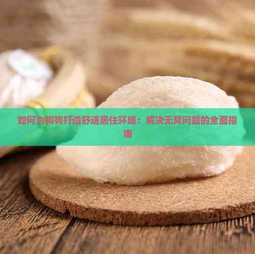 如何为狗狗打造舒适居住环境：解决无窝问题的全面指南