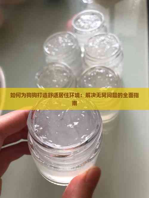 如何为狗狗打造舒适居住环境：解决无窝问题的全面指南