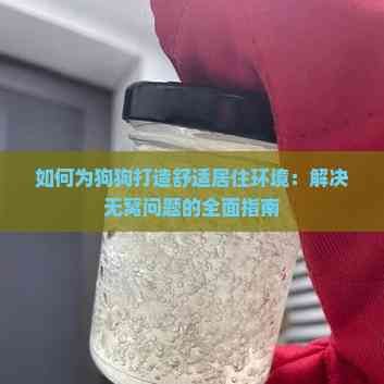如何为狗狗打造舒适居住环境：解决无窝问题的全面指南